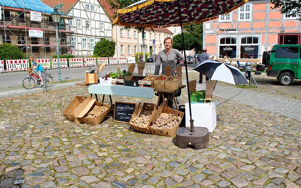 Knigges Kulturen - Marktplatz Angermünde, Foto: Magnus Knigge