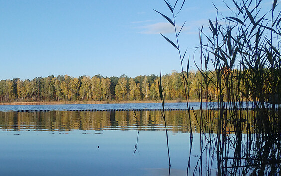 Großer Vätersee, Foto: martas Gästehäuser Groß Väter See