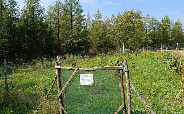 eingezäunte Wildpflanzen mit Zugang für Besucher, Foto: N. Mucha, Lizenz: N. Mucha