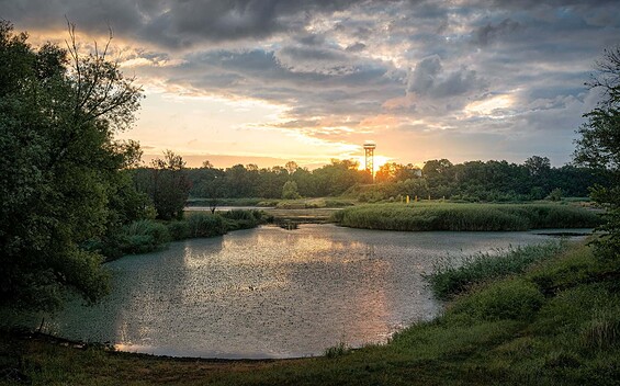 An der Oder, Foto: Florian Läufer, Lizenz: Seenland Oder-Spree