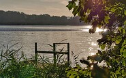 Storkower See, Foto: Angelika Laslo, Lizenz: Seenland Oder-Spree