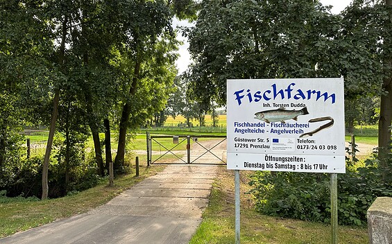 Fischfarm Torsten Dudda bei Prenzlau, fishftarm