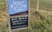 Bauernhof Weggun Hinweis Zufahrt, Foto: Anet Hoppe