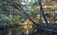 Hammergraben im Herbst, Foto: A. Roschke, Lizenz: A. Roschke