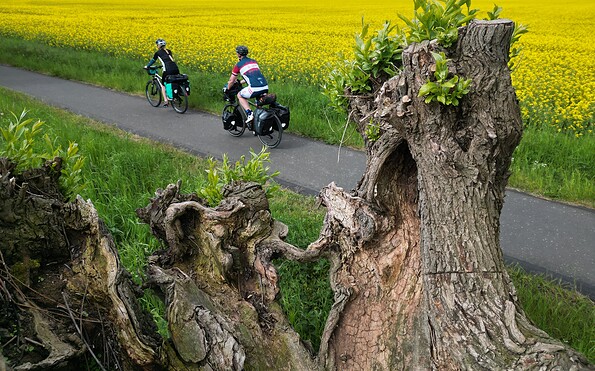 Feld und Wald im Wechsel, Foto: Thomas Widerin, Lizenz: Thomas Widerin
