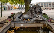 Löwenbrunnen, Foto: Torsten Stapel