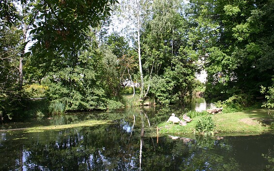 Tonsee bei Klein Köris, Foto: Günter Schönfeld, Lizenz: Tourismusverband Dahme-Seenland e.V.