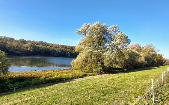 View on the Oder, Foto: RGV Schlaube Oderland e.V.