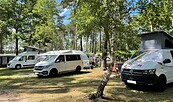 Wohnmobilstellplätze beim Knattercamping, Foto: Nadine Siemer, Lizenz: Knattercamping