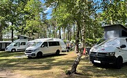 Wohnmobilstellplätze beim Knattercamping, Foto: Nadine Siemer, Lizenz: Knattercamping