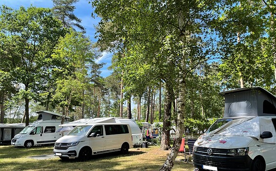 Wohnmobilstellplätze beim Knattercamping, Foto: Nadine Siemer, Lizenz: Knattercamping
