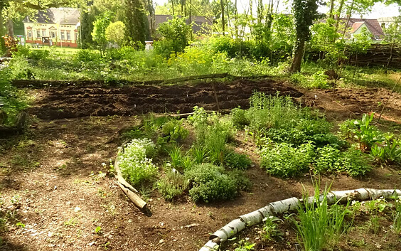 Kräutergarten Kunstgut Krahne, Foto: Ellen Opitz, Lizenz: Ellen Opitz