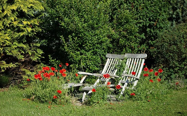 Garden, Foto: Sigrid Lüneberg