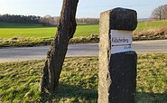 Rundwanderung Kmehlener Berge mit der höchsten Erhebung Brandenburgs, Foto: Kathrin Winkler, Lizenz: Tourismusverband Lausitzer Seenland e.V.