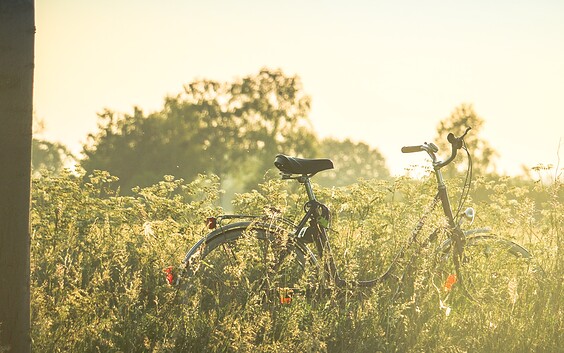 Wiesenfahrrad, Foto: Tourismusverband Prignitz, Lizenz: Tourismusverband Prignitz