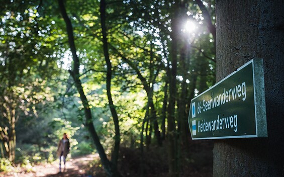 On the 66 lakes hiking trail in the Anna Valley, Foto: Christoph Creutzburg, Lizenz: Seenland Oder-Spree