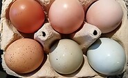 Fresh eggs, Foto: Hofladen Mühlenclub