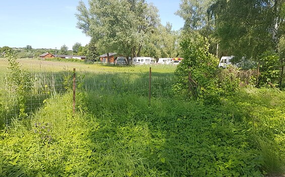 Campingplatz, Foto: Marina Park Eberswalde, Foto: Foto: Marina Park Eberswalde