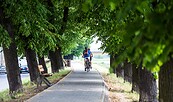 Radfahren entlang der Oderpromenade in Słubice , Foto: Artur Kozlowski