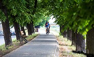 Radfahren entlang der Oderpromenade in Słubice , Foto: Artur Kozlowski