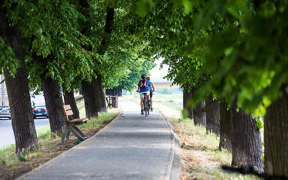 cycling along the Oder river in Słubice , Foto: Artur Kozlowski