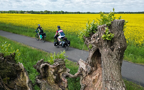 Feld und Wald im Wechsel, Foto: Thomas Widerin, Lizenz: Thomas Widerin