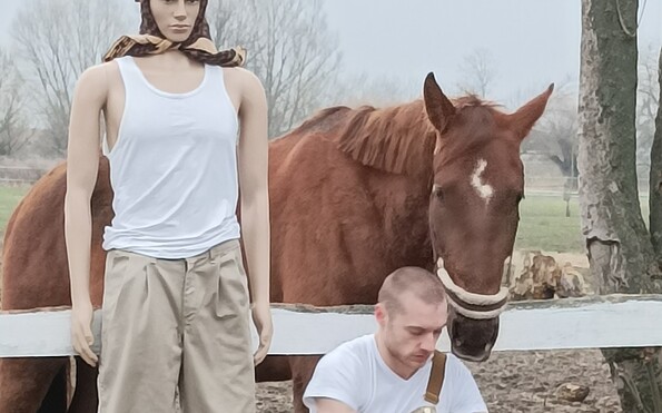 Pferde als Komparsen, Foto: J.Wolf, Lizenz: J.Wolf