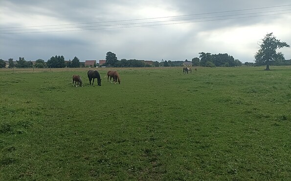 Weite Weiden, Foto: J.Wolf, Lizenz: J.Wolf