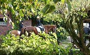 Reiten im Grünen, Foto: Reiterhof Richter, Lizenz: Reiterhof Richter