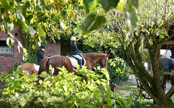 Reiten im Grünen, Foto: Reiterhof Richter, Lizenz: Reiterhof Richter