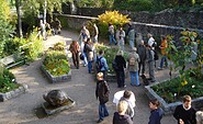 Kräutergarten hinter der Tourist-Info Buckow, Foto: Archiv Kultur- und Tourismusamt Märkische Schweiz