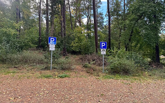 Wohnmobilstellplatz Lychen Wurlgrund, Foto: Alena Lampe