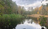 Pitch ponds in autumn, Foto: Gregor Kockert, Lizenz: Tourismusverband Lausitzer Seenland e.V.