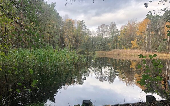 Pitch ponds in autumn, Foto: Gregor Kockert, Lizenz: Tourismusverband Lausitzer Seenland e.V.