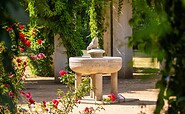 Froschbrunnen im Ostdeutschen Rosengarten Forst (Lausitz), , Foto: PatLografie Patrick Lucia