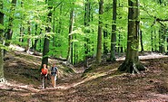 Findlingswanderweg - Wanderung durch die Springer Rummel, Foto: Bansen/Wittig