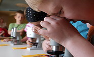 Mikroskopieren, Foto: Pressestelle, Lizenz: Kulturzentrum Rathenow
