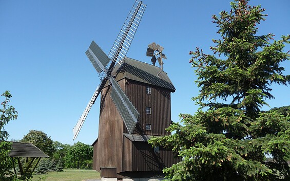 Paltrockwindmühle Schönewalde, Foto: Tourismusverband Elbe-Elster-Land, Lizenz: Tourismusverband Elbe-Elster-Land