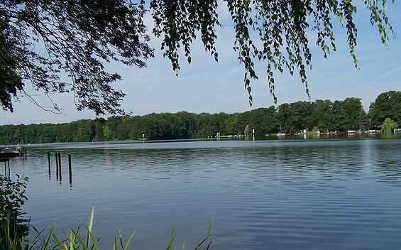 Blick auf den Krüpelsee, Foto: Juliane Frank, Lizenz: Tourismusverband Dahme-Seenland e.V.