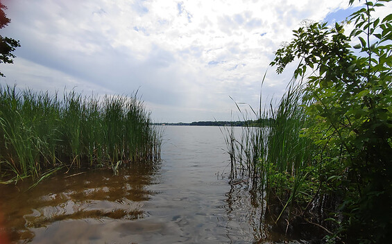 Bathing area at Krüpelsee in Zernsdorf, Foto: Norman Siehl, Lizenz: Tourismusverband Dahme-Seenland e.V.