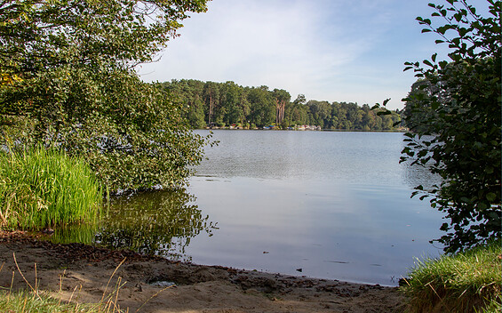 Zernsdorfer Lankensee natural swimming area, Foto: ,, Lizenz: ScottyScout