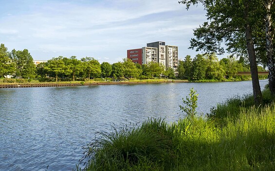View of the Island Eisenhüttenstadt, Foto: Dominic Mocker