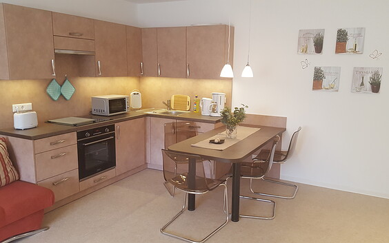 Ferienwohnung im Grünen - Aufenthaltsraum mit Küchen, Foto: I. Schwertner