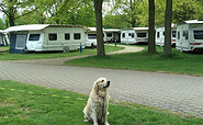 Urlaub mit Hund im Komfortcamping Senftenberger See, Foto: Saskia Müller, Lizenz: Zweckverband Lausitzer Seenland Brandenburg
