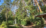 Wald, Foto: Sybille Jakober, Lizenz: Sybille Jakober