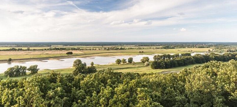 Rundwanderweg Auenwildnis