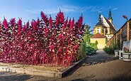 bepflanztes Beet im Barockgarten des Kloster Neuzelle, Foto: Bernd Geller