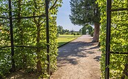 Blick durch Grünbogen im Barockgarten des Kloster Neuzelle, Foto: Bernd Geller
