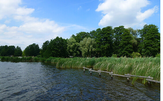 Krüpelsee, Foto: Juliane Frank, Lizenz: Tourismusverband Dahme-Seenland e.V.