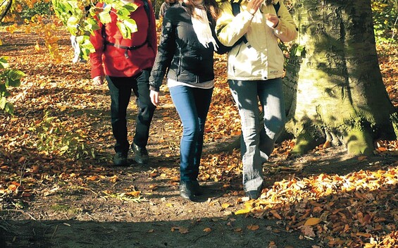 Hiking trail around the Zeesen Lake, Foto: Hans Rentmeister, Lizenz: Tourismusverband Dahme-Seenland e.V.